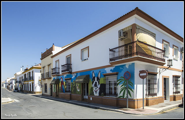Casa Colorida  -  HWW