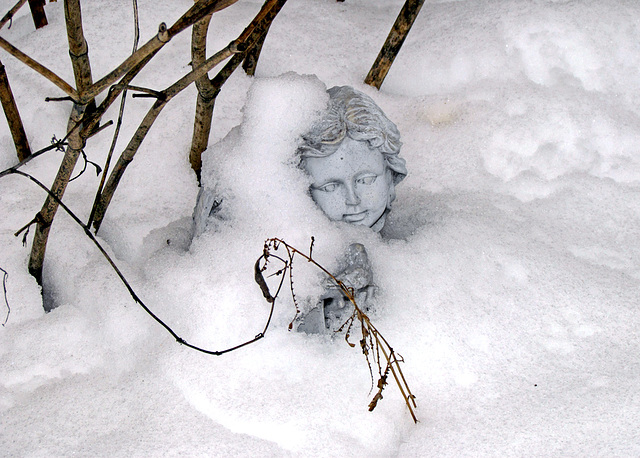 Angel in the Snow