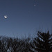 Morning Moon and Planets