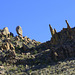 Grapevine Hills