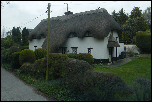 Durrington thatch