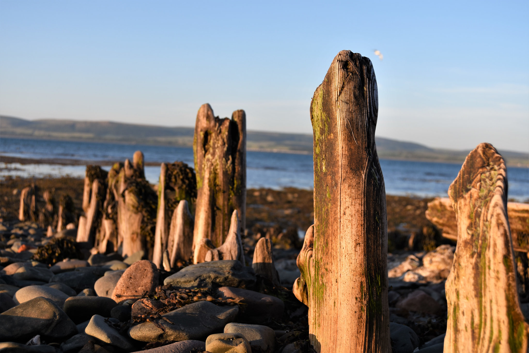 A very old fence!    Happy Fence Friday!