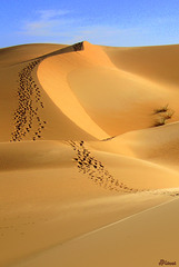 Mauritanie