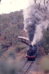 9 East of Humula