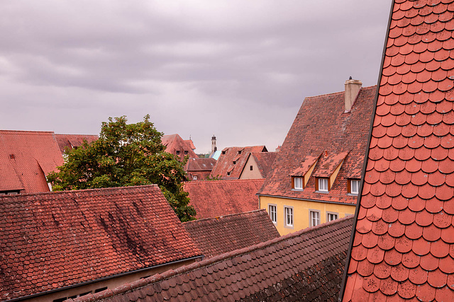 #35 - Leo W - Red roof landscape - 45̊ 0points