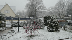 Il neige en Sologne !