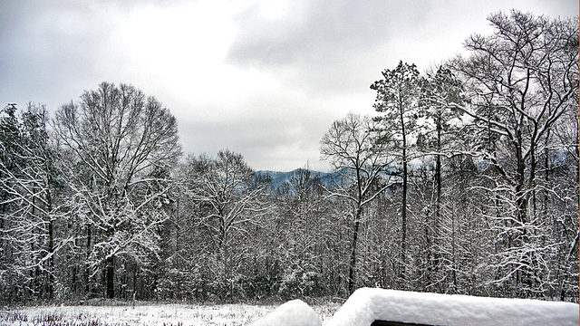 Snow in the Foothills