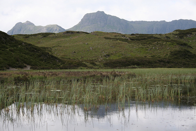 Lingmoor Tarn 2