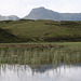 Lingmoor Tarn 2