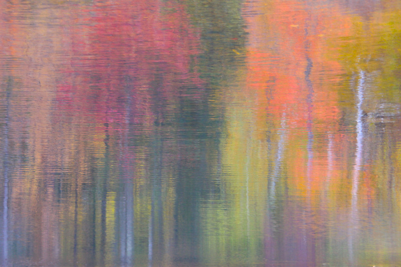 reflexion automnale