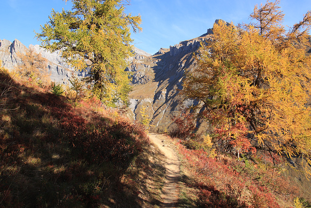 le début du chemin