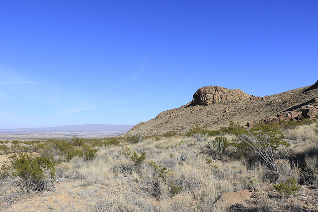 Grapevine Hills