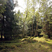 Słowiński Park Narodowy (13)