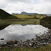 Lingmoor Tarn 1