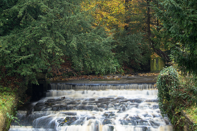 The Weir on Shelf Brook