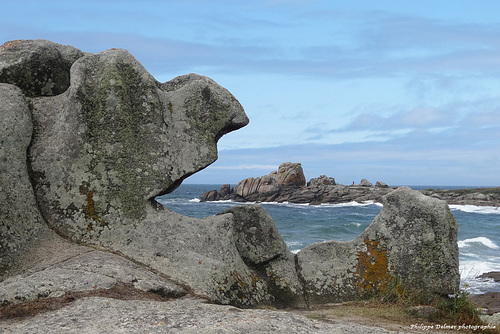 L'ogre de la mer