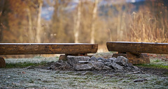 Mein Rastplatz an der Lagerfeuerstelle :))  My resting place at the campfire :))  Mon lieu de repos au feu de camp :))