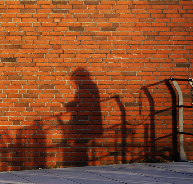 shadow fence