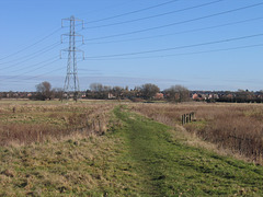 Looking over the River Tame to Coton from near Dunstall Lane