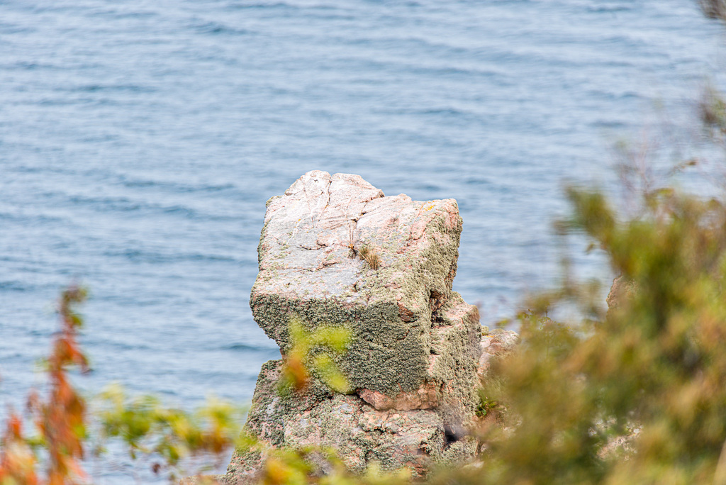 20210813- DSC7468