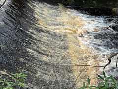 Peat brown rill on the Altyre burn