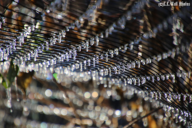 Icicles Marching in Formation