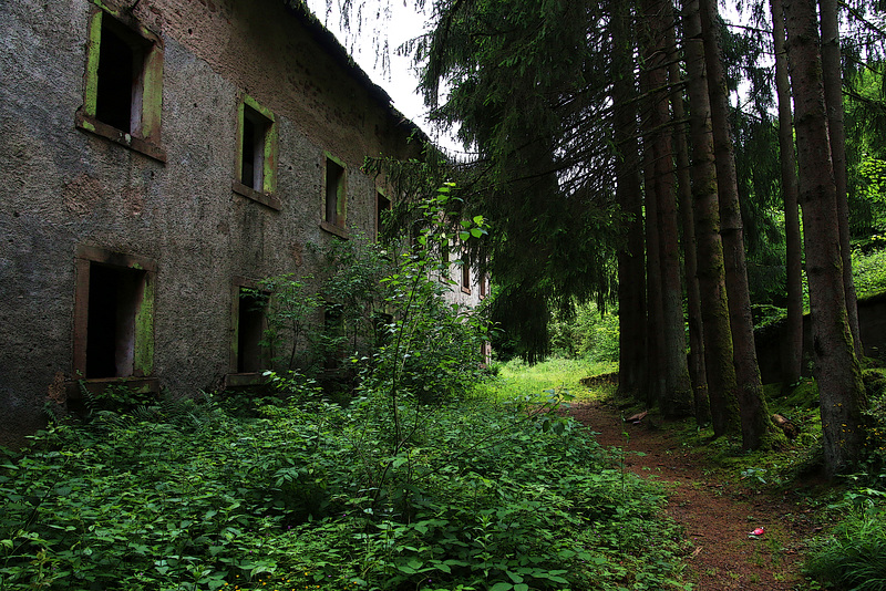 Friche industrielle dans les Vosges .