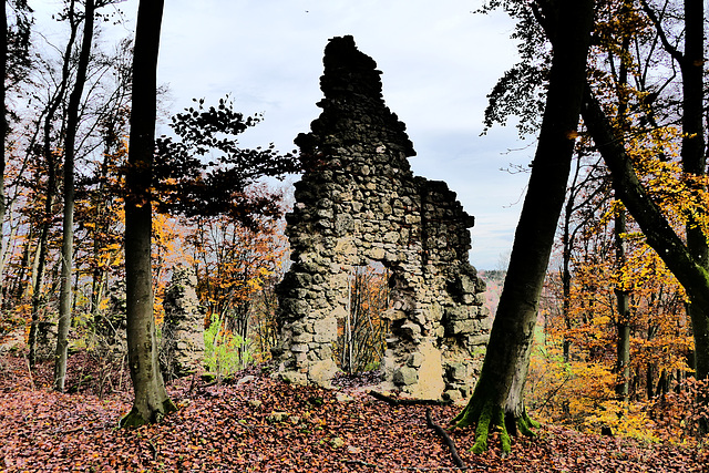 Ruine Helfenberg