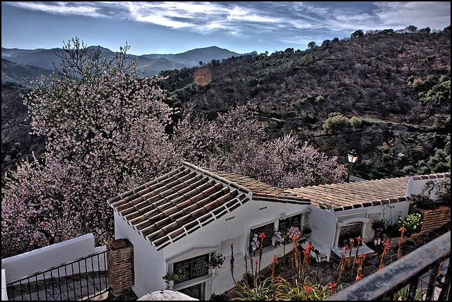 Benalauría