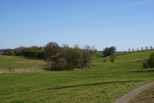 Spaziergang am Nachmittag II