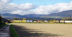 Güterzug richtung Lausanne bei Ependes ( VD )