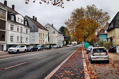 Wasserstraße (Bochum-Wiemelhausen) / 2.11.2024