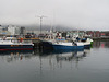 Svolvær havn