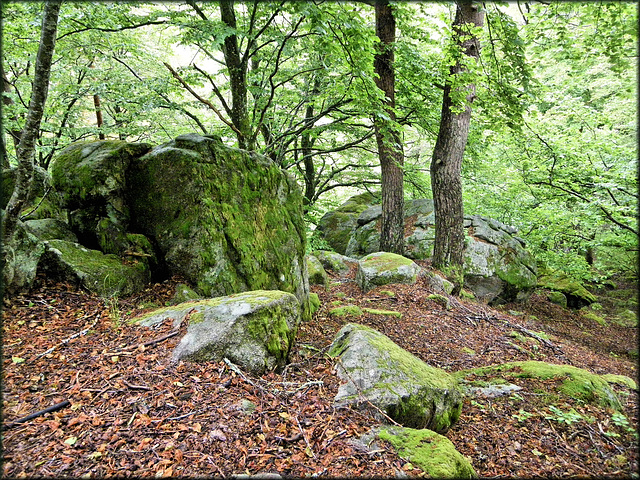 Le Chambon-sur-Lignon (43) 3 juin 2012.