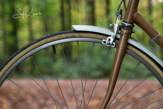 vélo aux couleurs d'automne