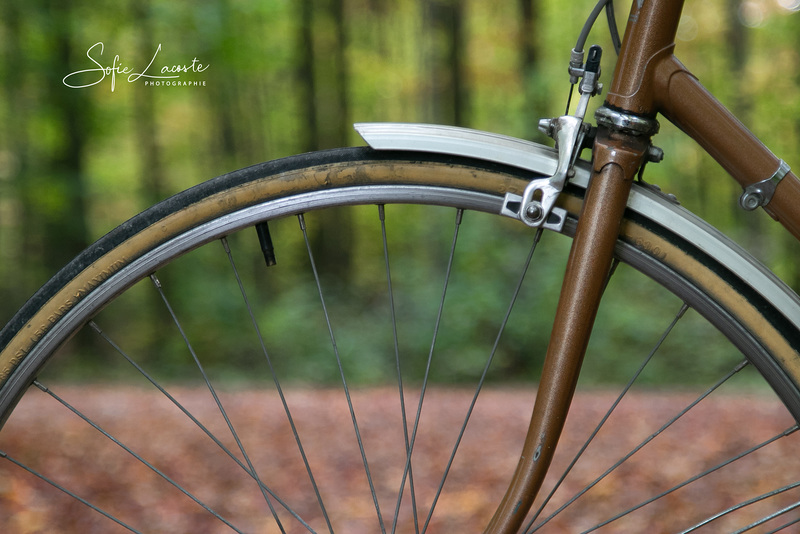 vélo aux couleurs d'automne