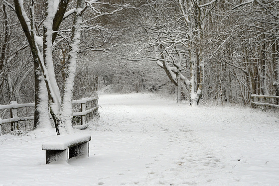 HBM ~ The first snows of the year