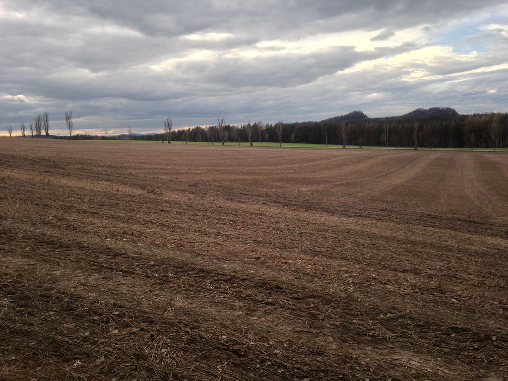 Bildmitte die Napoleon- oder Kaiserstraße, rechts im Bild den großen und links daneben den kleinen Bärenstein.