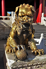 Forbidden City_44