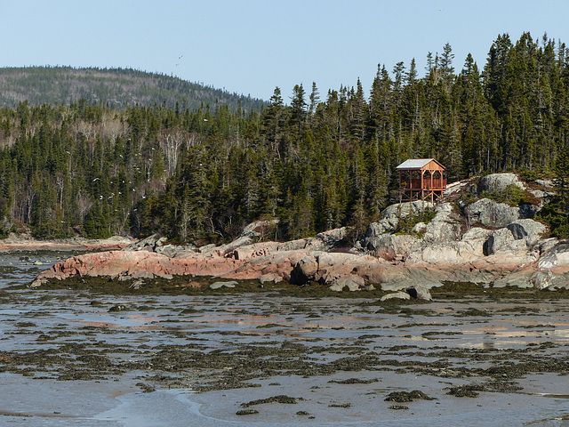 Day 8, coast NE of Tadoussac, Quebec