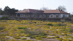 LR-1040386