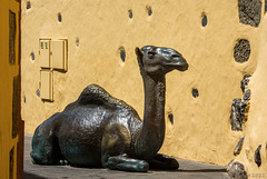 'El Camello' von Wency' Herrera García (© Buelipix)