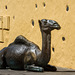 'El Camello' von Wency' Herrera García (© Buelipix)