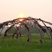 sweat lodge frame at sunrise 3