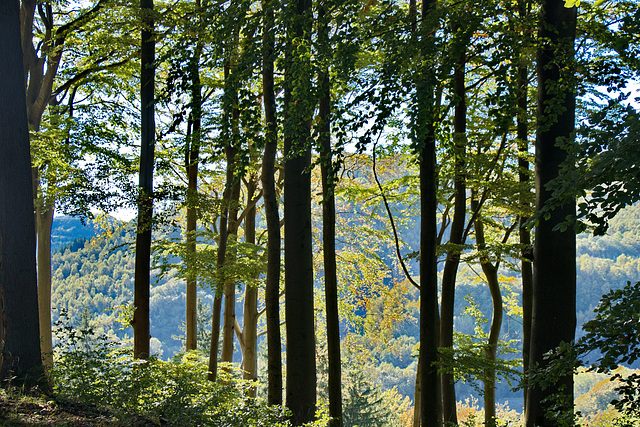 Blick vom Breberg ins Tal der Valme