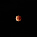 IMG 3626 SupermoonEclipse dpp