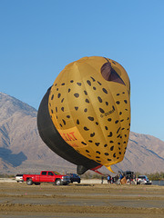 Cathedral City Balloon Festival (60) - 22 November 2019