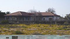LR-1040387