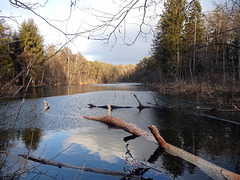 An einem Januarsonntag im Naturschutzgebiet