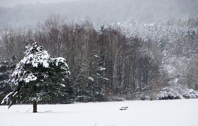 dreaming of a white bench - HBM!